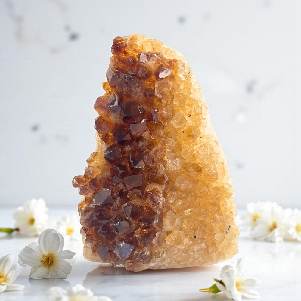 Citrine Geode - 1.1 LBS