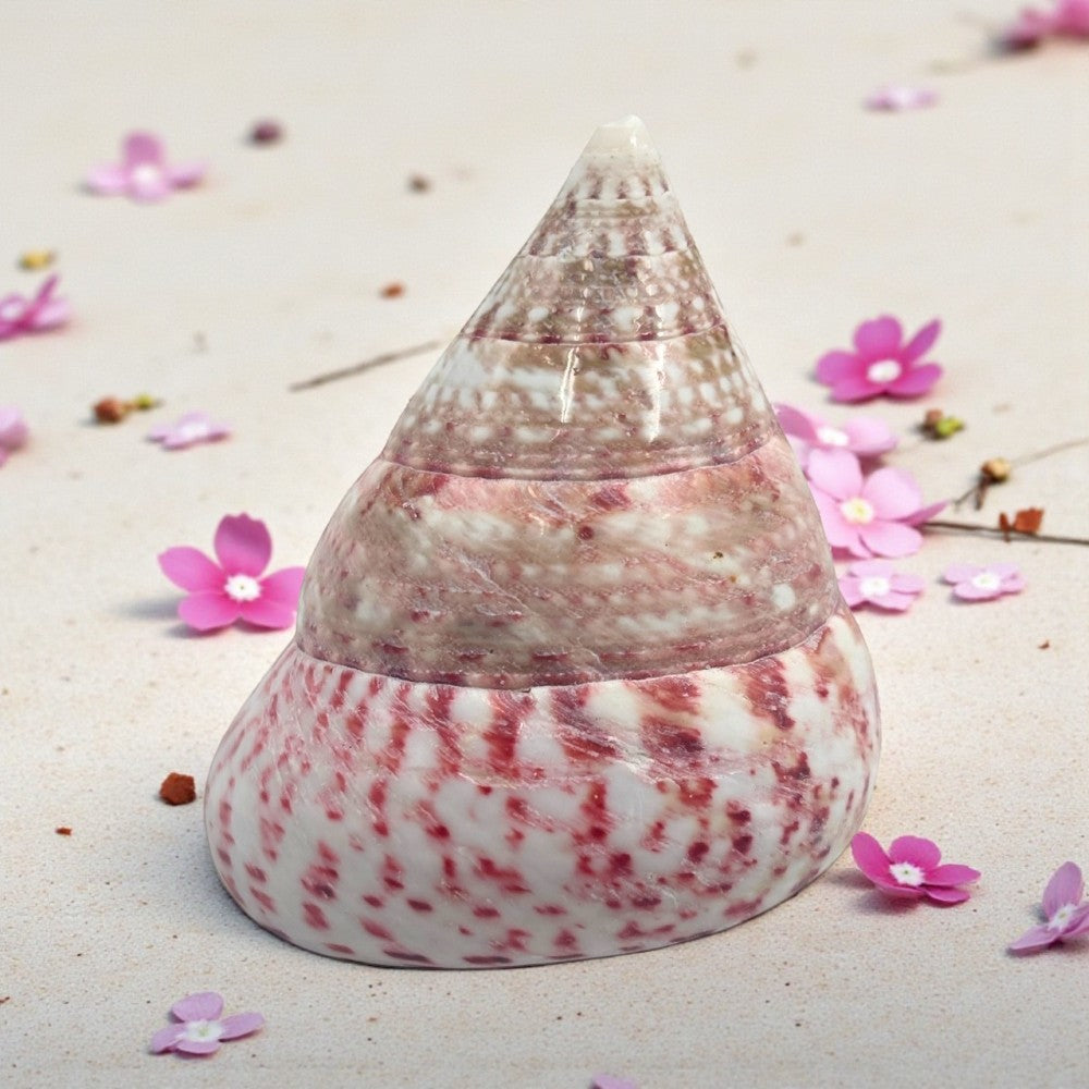 Cone Shaped Top Natural