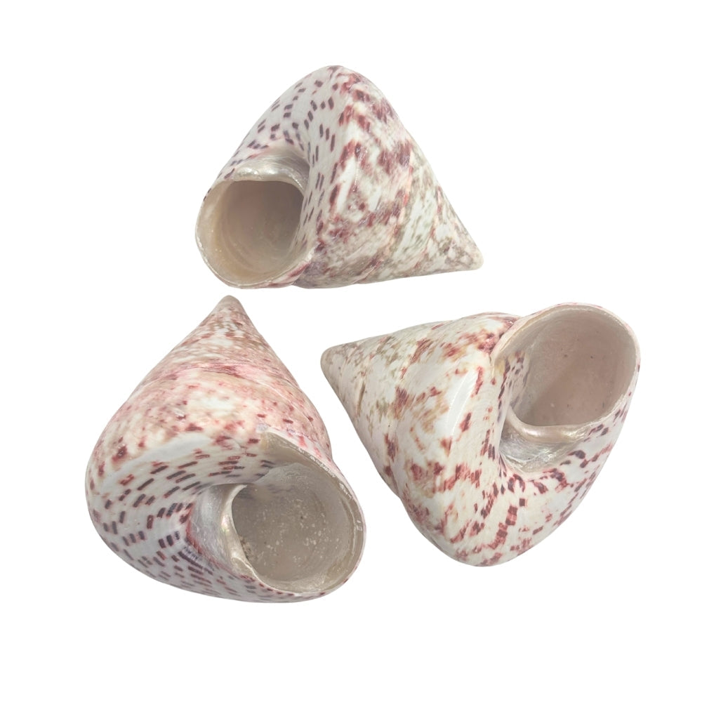 Cone Shaped Top Natural