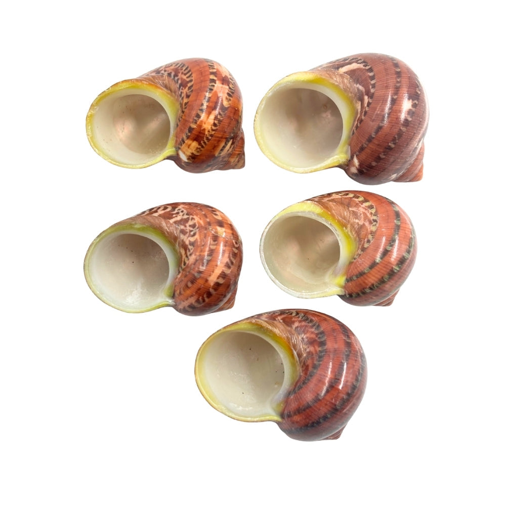 Tapestry Turban Natural